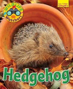 Wildlife Watchers: Hedgehog - Owen, Ruth