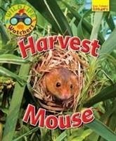 Wildlife Watchers: Harvest Mouse - Owen, Ruth