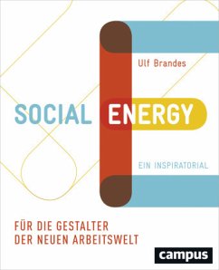 Social Energy - Brandes, Ulf