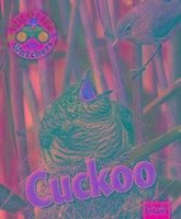 Wildlife Watchers: Cuckoo - Owen, Ruth