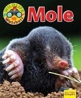 Wildlife Watchers: Mole - Owen, Ruth