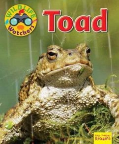 Wildlife Watchers: Toad - Owen, Ruth