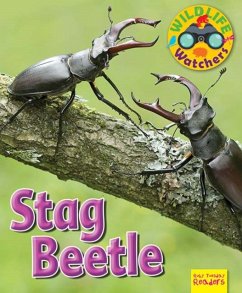 Wildlife Watchers: Stag Beetle - Owen, Ruth