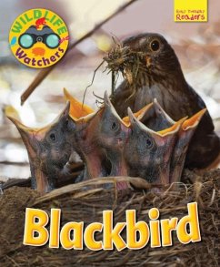 Cover Wildlife Watchers: Blackbird