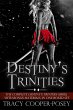 Destiny's Trinities (eBook, ePUB) - Bild 1