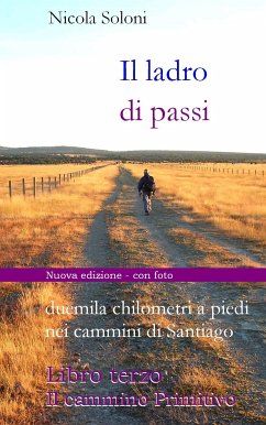 Il ladro di passi. Libro terzo. Il cammino Primitivo (eBook, ePUB) - Soloni, Nicola