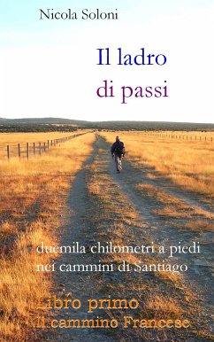 Il ladro di passi. Libro primo. Il cammino Francese (eBook, ePUB) - Soloni, Nicola