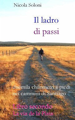 Il ladro di passi. Libro secondo. La via de la Plata (eBook, ePUB) - Soloni, Nicola