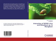 Interaction of MYMV virus and Rhizobium sp. in Mungbean