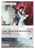 Liebe, Gewalt und Wahnsinn bei Cervantes (eBook, PDF)