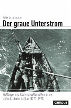 Der graue Unterstrom - Schürmann, Felix
