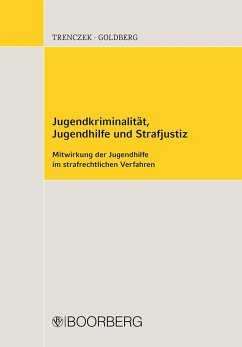 Jugendkriminalität, Jugendhilfe und Strafjustiz Mitwirkung der Jugendhilfe im strafrechtlichen Verfahren - Trenczek, Thomas;Goldberg, Brigitta