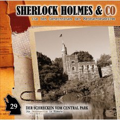 Der Schrecken vom Central Park (MP3-Download) - Holtheuer, Patrick