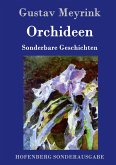 Orchideen Orchideen