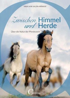 Zwischen Himmel und Herde - Salzen-Märkert, Tanja von