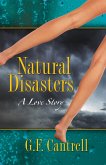 Natural Disasters, A Love Story (eBook, ePUB)