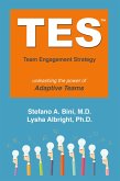 Tes: The Team Engagement Strategy (eBook, ePUB)