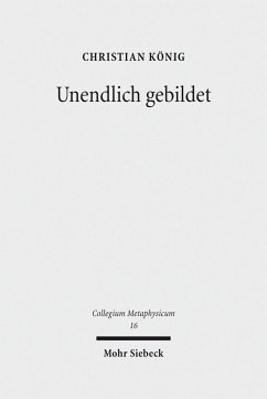 Unendlich gebildet (eBook, PDF) - König, Christian
