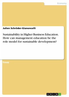 Sustainability in Higher Business Education. How can management education be the role model for sustainable development? (eBook, PDF)