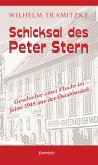 Schicksal des Peter Stern (eBook, ePUB)