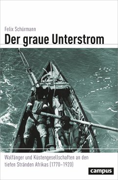 Der graue Unterstrom (eBook, PDF) - Schürmann, Felix