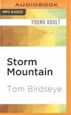 STORM MOUNTAIN M