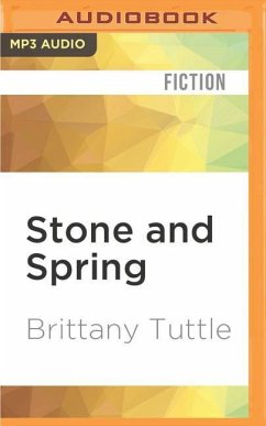 Stone and Spring - Tuttle, Brittany