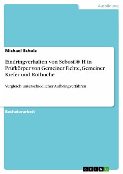 Eindringverhalten von Sebosil® H in Prüfkörper von Gemeiner Fichte, Gemeiner Kiefer und Rotbuche (eBook, PDF)