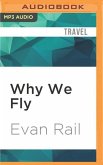 Why We Fly: The Meaning of Travel in a Hyperconnected Age