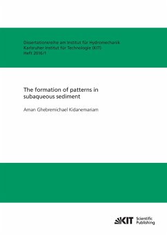 The formation of patterns in subaqueous sediment - Kidanemariam, Aman Ghebremichael