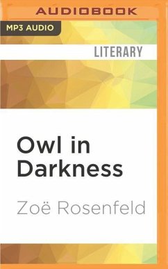Owl in Darkness - Rosenfeld, Zoë