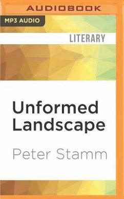 UNFORMED LANDSCAPE M - Stamm, Peter