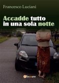 Accadde tutto in una sola notte (eBook, ePUB)