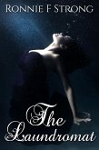 The Laundromat (eBook, ePUB)
