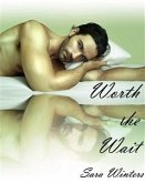 Worth the Wait (eBook, ePUB)