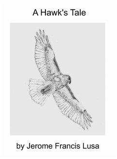 Cover A Hawk's Tale (eBook, ePUB)