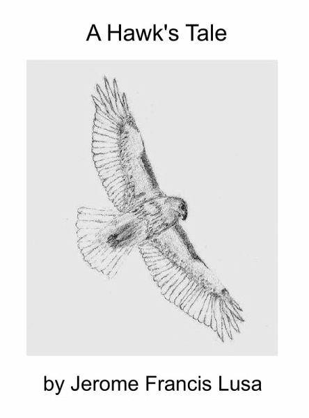 A Hawk's Tale (eBook, ePUB) A Hawk's Tale (eBook, ePUB)