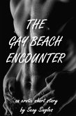 The Gay Beach Encounter (eBook, ePUB)