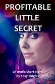 Profitable Little Secret (eBook, ePUB)