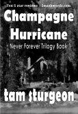 Never Forever - The Champagne Hurricane Trilogy - Book 1 (eBook, ePUB)