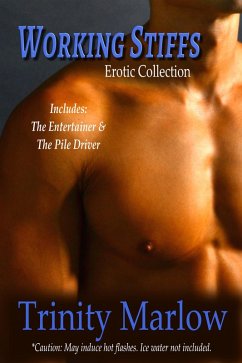 Cover Working Stiffs (eBook, ePUB)