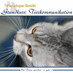 Grundkurs: Tierkommunikation (MP3-Download)