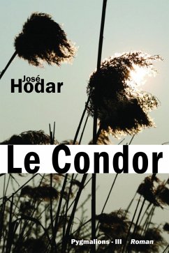 Le Condor (eBook, ePUB) Cover Le Condor (eBook, ePUB)