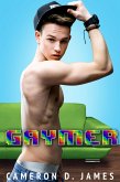 Gaymer (eBook, ePUB)