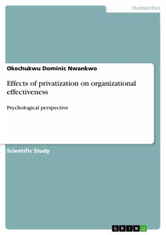 Effects of privatization on organizational effectiveness - Nwankwo, Okechukwu Dominic