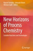 New Horizons of Process Chemistry