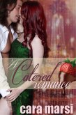 A Catered Romance (eBook, ePUB)