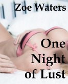 One Night of Lust (eBook, ePUB)