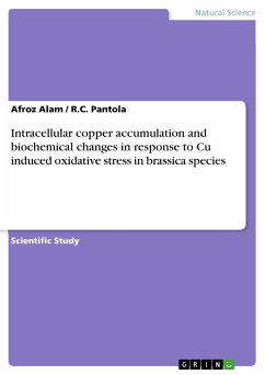 Intracellular copper accumulation and biochemical changes in response to Cu induced oxidative stress in brassica species (eBook, PDF) - Alam, Afroz; Pantola, R.C.