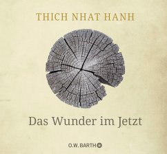 Cover Das Wunder im Jetzt